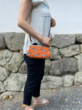 画像をギャラリービューアに読み込む, シマウマ zebra