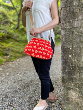 画像をギャラリービューアに読み込む, カメ 亀 turtle