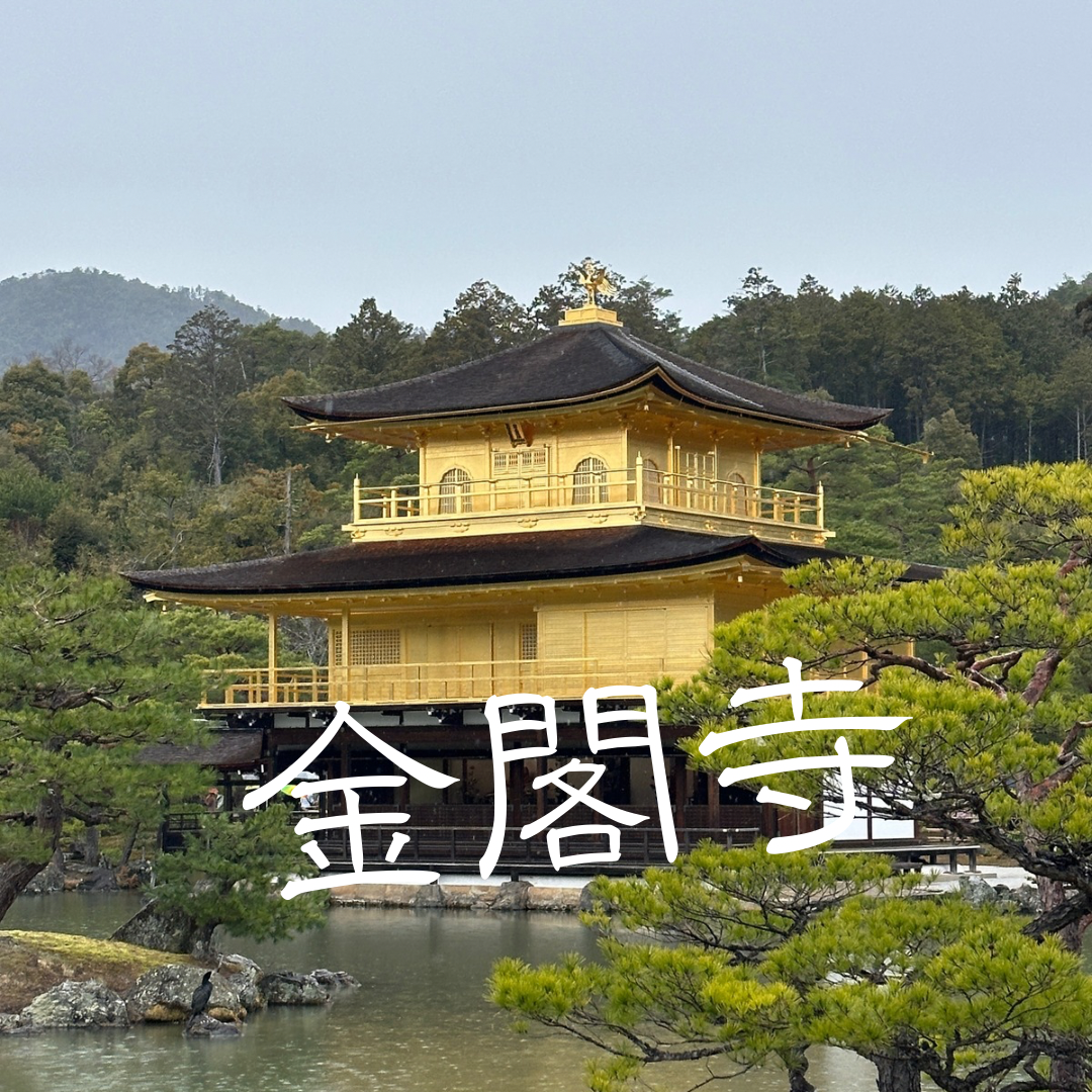 光の沈黙 - 金閣寺に学ぶ、時を超える美 – WABISUKE