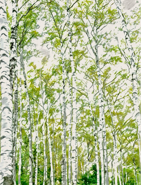 白樺の理想と民藝のまなざし　　思想と美の交差点