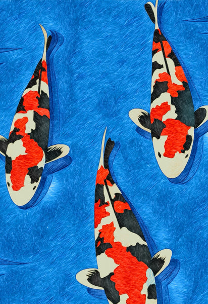 泳ぐ詩　　錦鯉の歴史と美