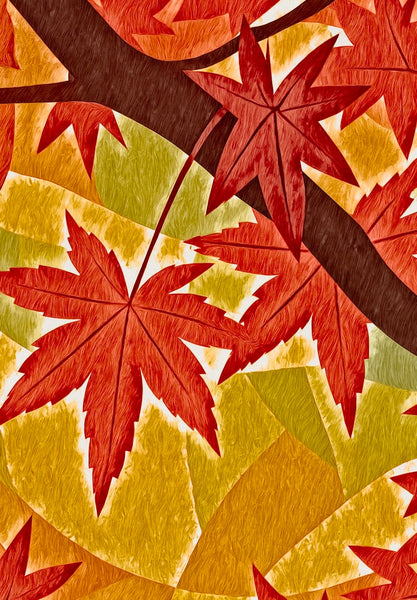 京都的秋天：秋叶的宁静与色彩