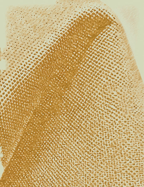 【布料与人性的故事】侘寂将永恒之美注入画布