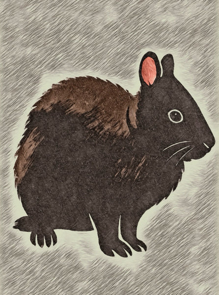 闇に息づく記憶　　アマミノクロウサギという名の静寂