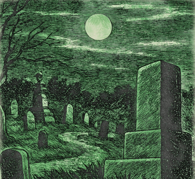 The anime "GeGeGe no Kitaro" reflects the life and spirit of the Showa era and the memory of yokai culture 