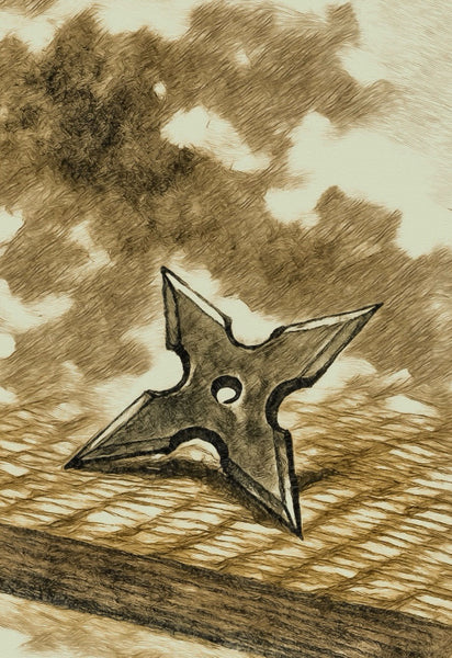 手裏剣とは何か？　　忍びの知恵が宿る投擲武器