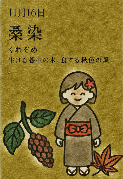 11月16日　色暦　桑染　(くわぞめ)