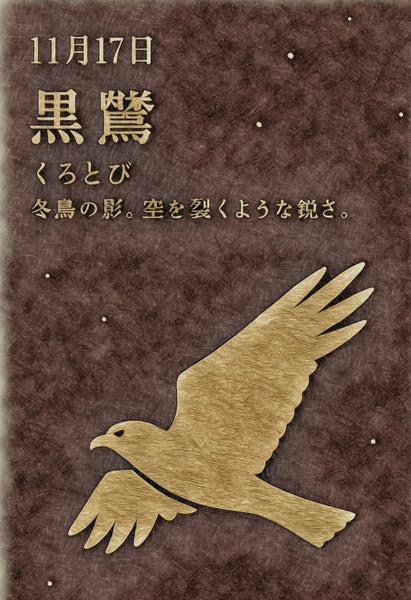 11月17日　色暦　　黒鳶　(くろとび)