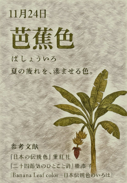 11月24日色彩日历：芭蕉色彩